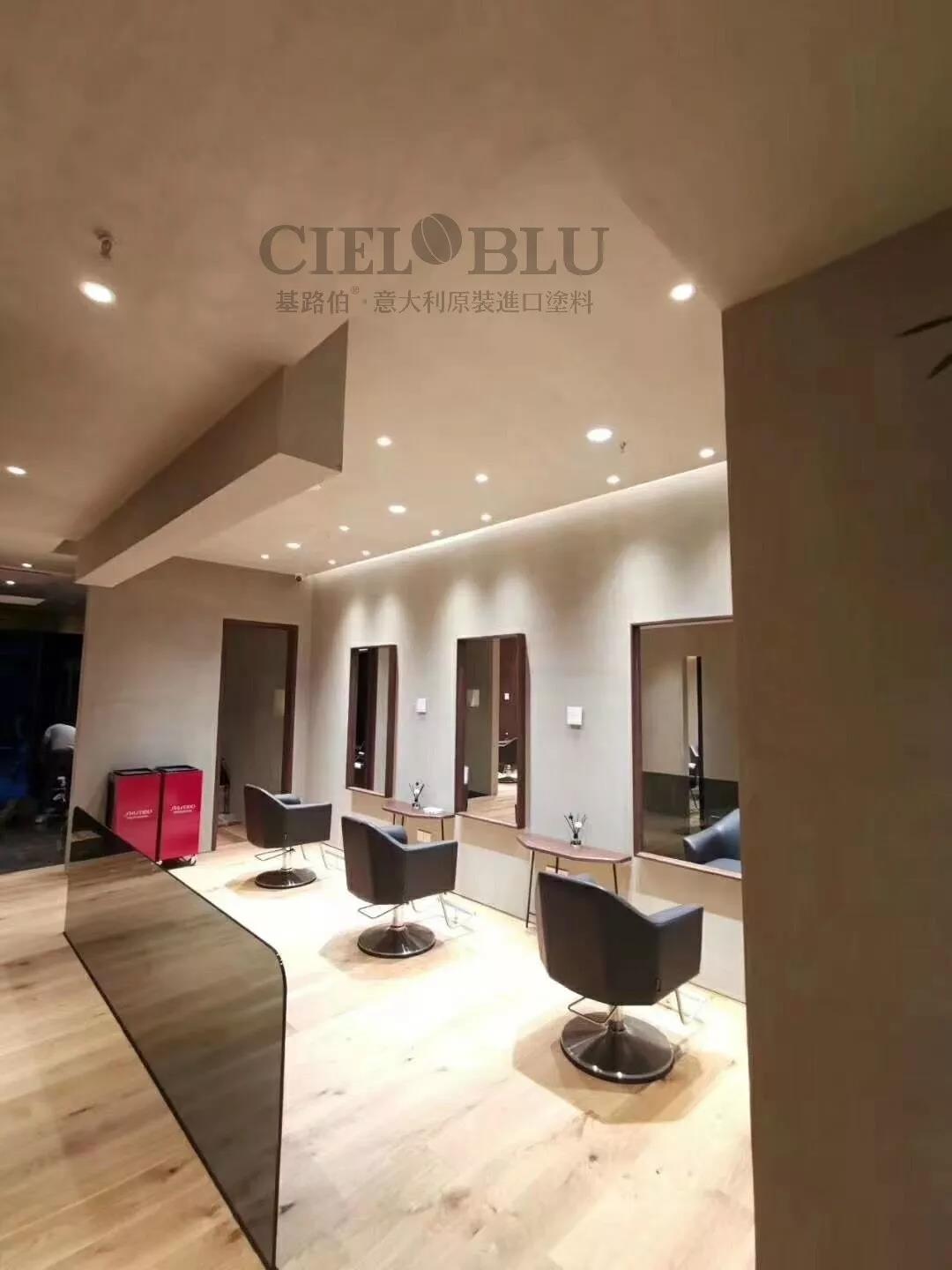 意大利基路伯(CIELOBLU)原裝進口藝術(shù)涂料最新工程案例賞析(圖5)